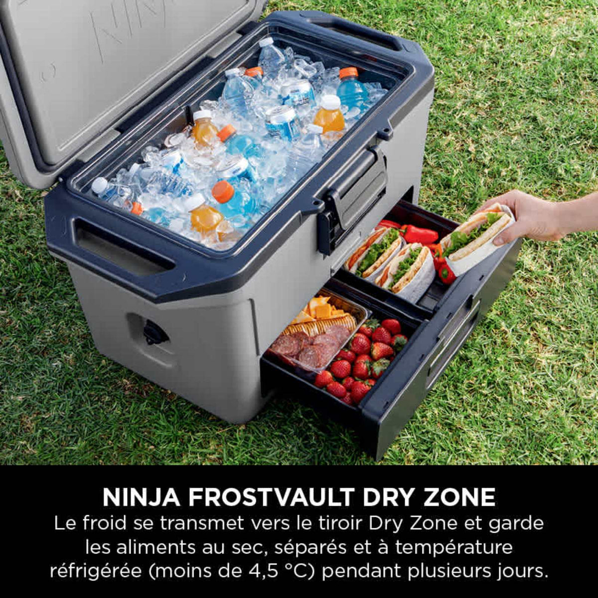 Glacière Ninja FrostVault 47 L - visuel 5